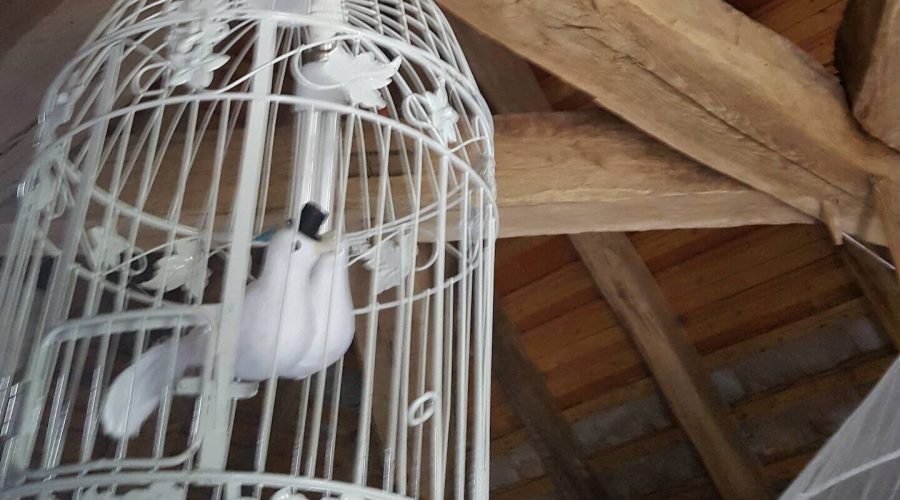 7fa0085f-81c8-4cc3-b99c-dd6569a43390